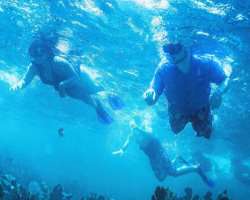 He is a good swimmer.